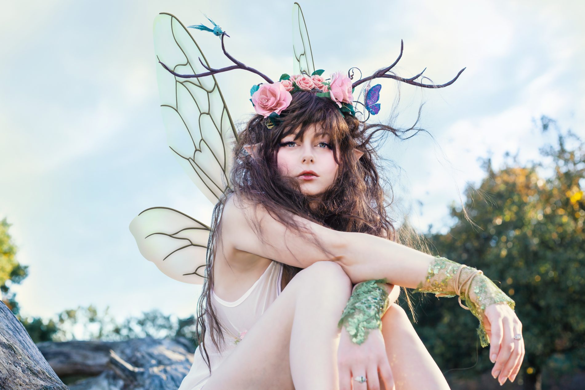 rosse fairy