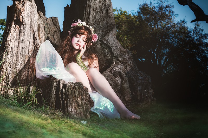 elfe-baum-baumelde-wald-shop Fantasy