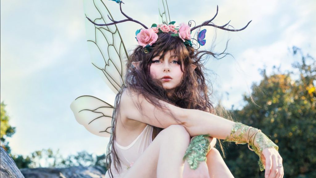fairy-wings-roses-eden-craft fairy wings